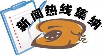 新京报新闻爆料热线,聚焦社会热点，倾听民意心声  第1张